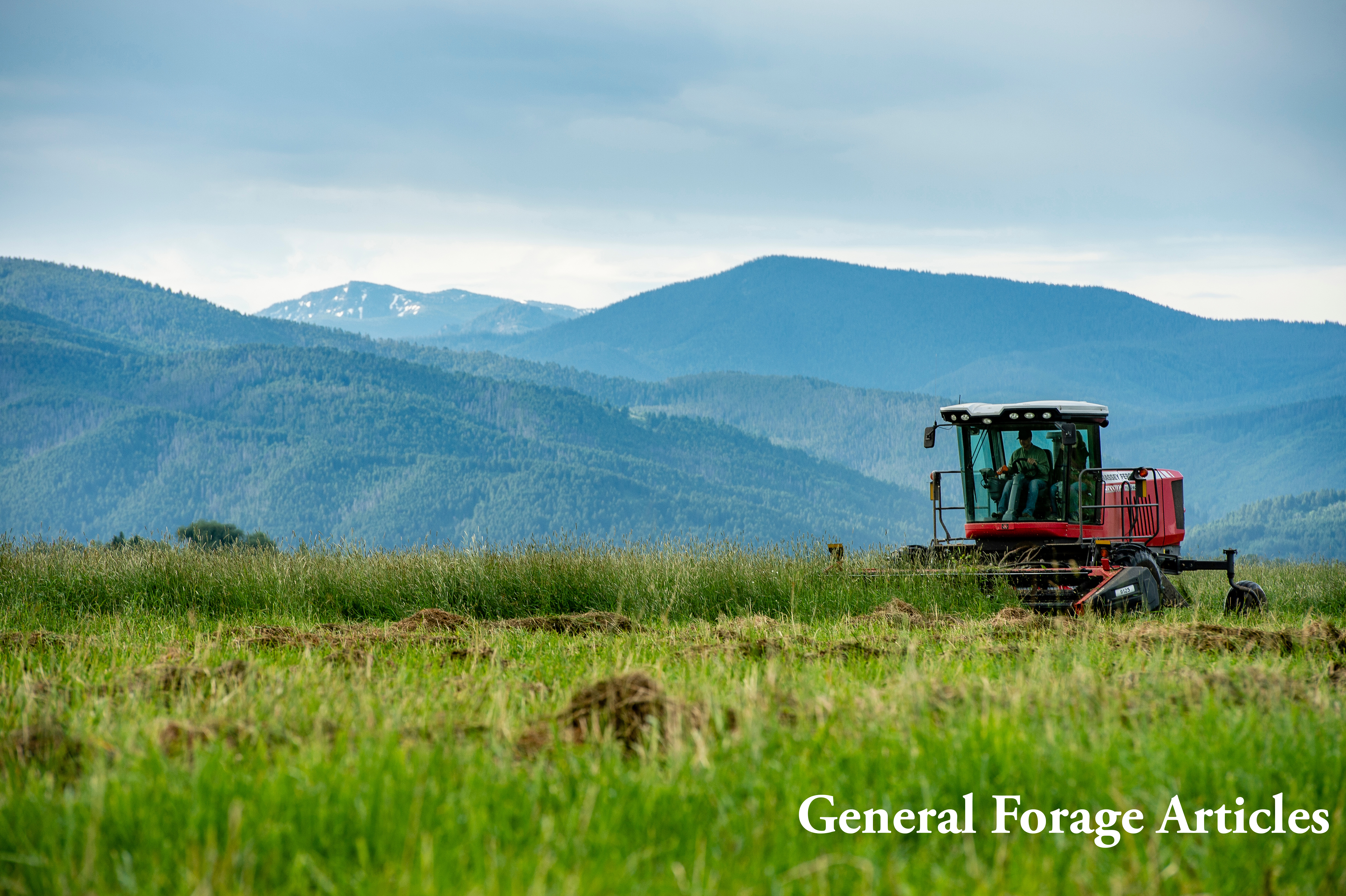 General Forage Articles page