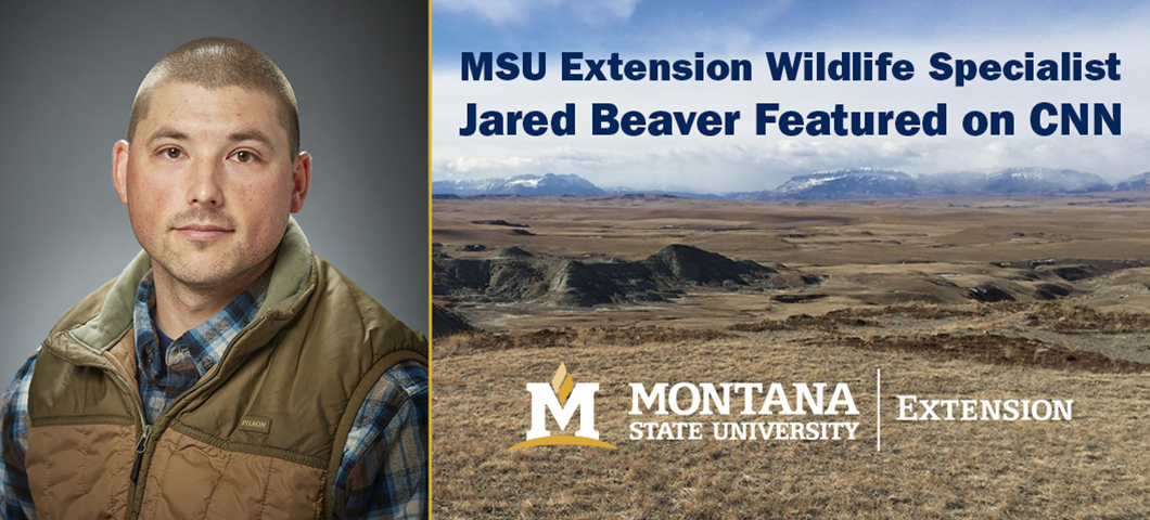 MSU Extension Wildlife Specialist Jared Beaver Featured on CNN