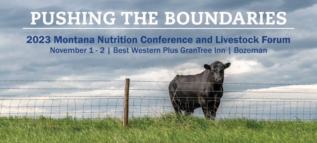 A black Angus steer stands in a pasture behind wire fencing with a stormy sky overheard. Text reads: Save the Date. 2023 Montana Nutrition Conference and Livestock Forum. PUSHING THE BOUNDARIES. November 1 - 2, Best Western Plus GranTree Inn, Bozeman. 