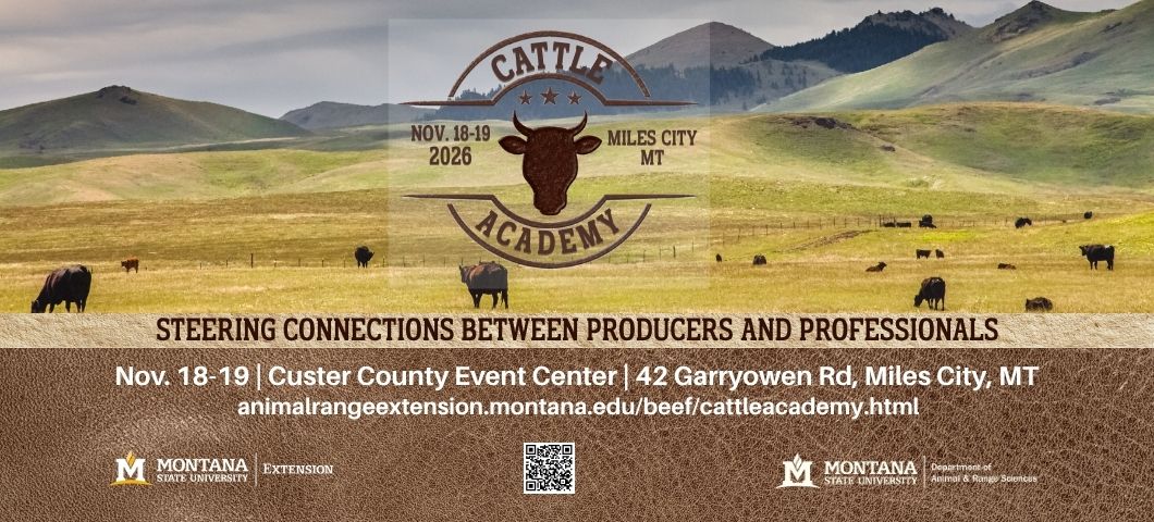 cattle on a montana range