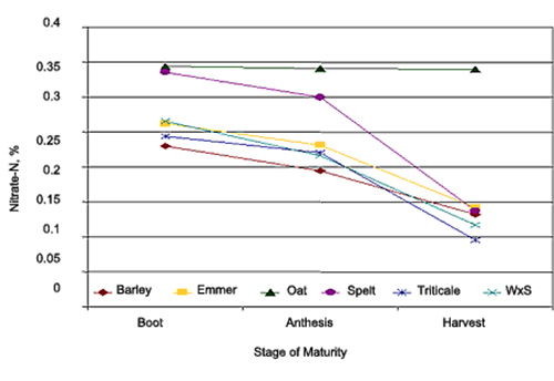 Figure 1. Nitrate-N concentrations of six cereal forages grown under irrigated conditions in 2002 near Bozeman, MT.