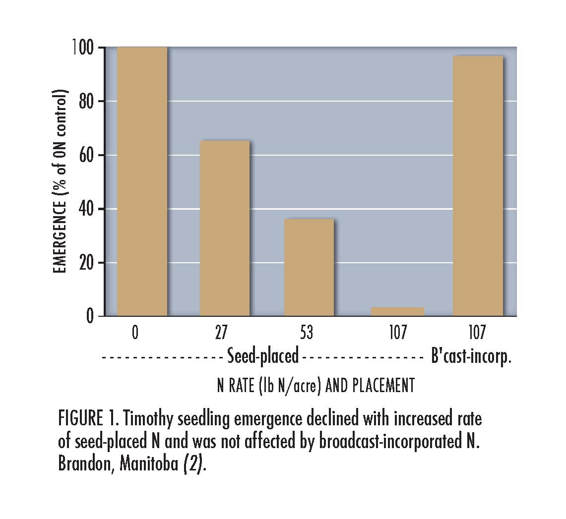Figure 1. Timothy seeding emergence declined with increased rate of seed-placed N and was not affected by broadcast-incorporated N.