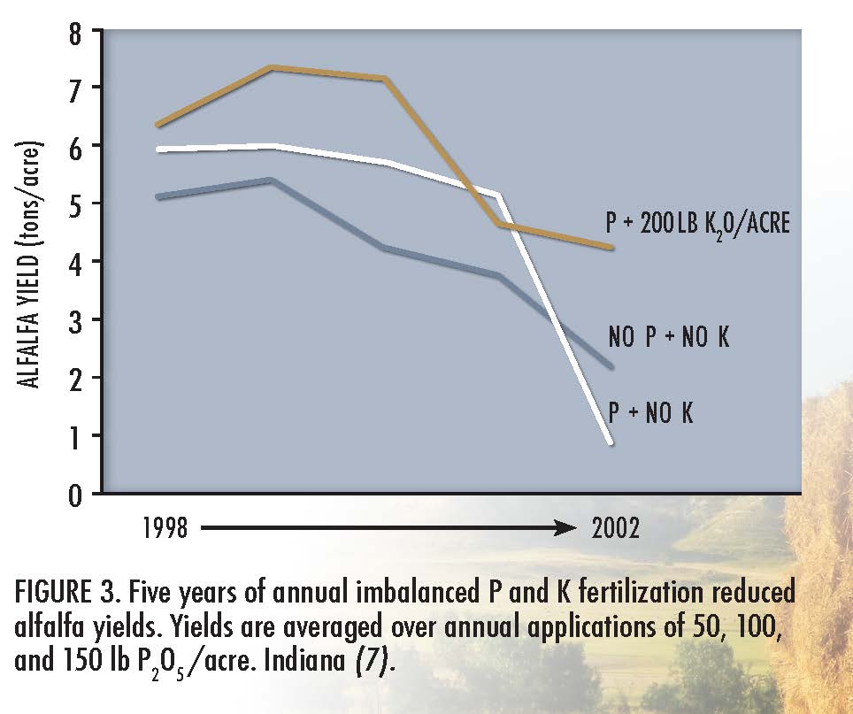 Five years of annual imbalanced P and K fertilization reduced alfalfa yields. Yields are averaged over annual applications of 50, 100, and 150lb P2O5/acre. Indiana (7).