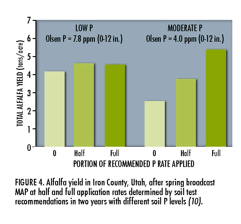Alfalfa yield in Iron County, Utah, after spring broadcast MAP at half and full application rates determined by soil test recommendations in two years with different soil P levels (10).