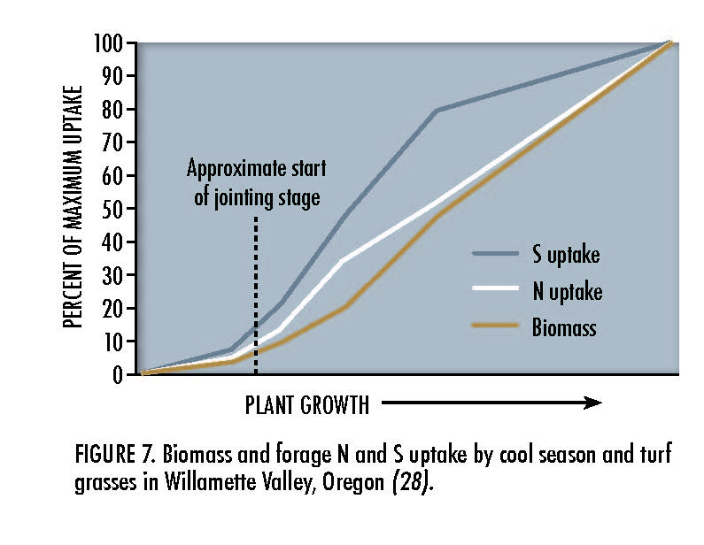 Figure 7. Biomass and forage N and S uptake by cool season and turf grasses in Willamette Valley, Oregon (28).